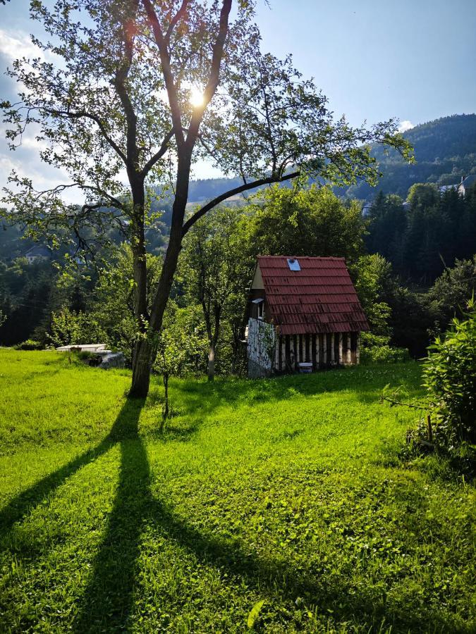 Gasthaus Mini Garden Mojkovac Exterior foto